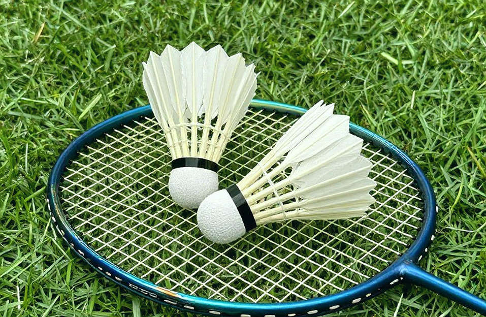 Indonesia và bản đồ hai tầng dữ liệu ở chung kết cầu lông đồng đội nam Asian Games 2026